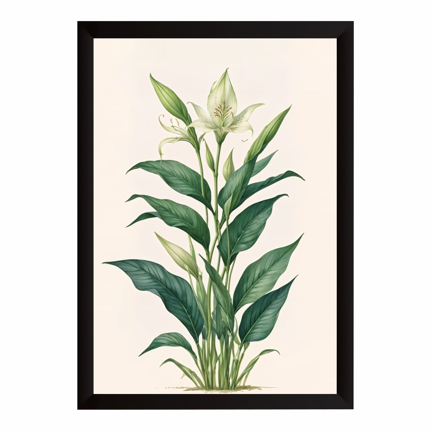 White Lily Botanical Wall Art | Minimalist Floral Botanical Artwork