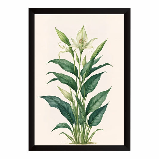 White Lily Botanical Wall Art | Minimalist Floral Botanical Artwork