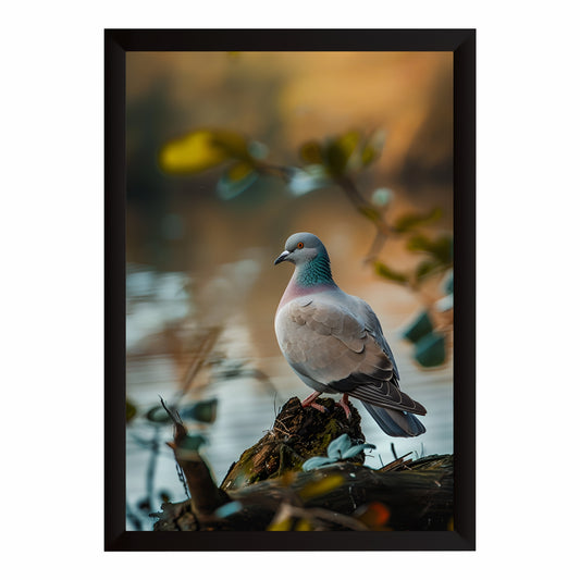 Pigeon Wall Art | Framed Bird Photography | Peaceful Nature Artwork | Bird Lover Wall Decor