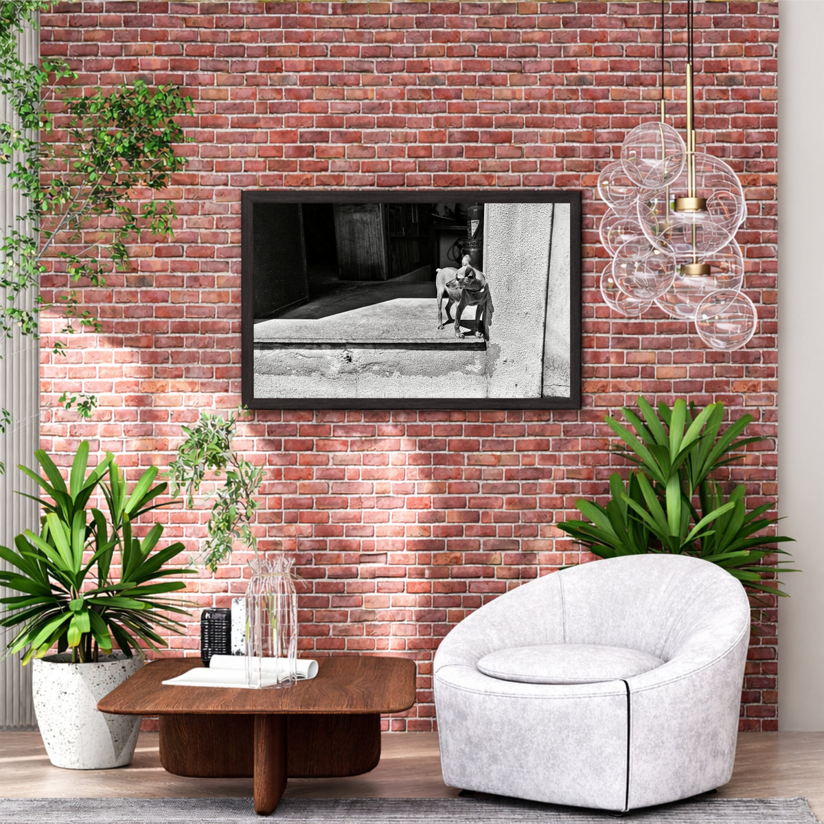 Street Dog Black & White Wall Art | Animal Photography