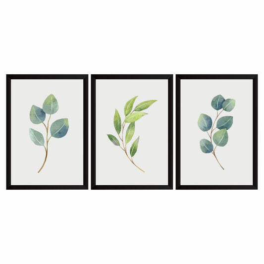 Watercolor Eucalyptus Botanical Wall Art Set of 3