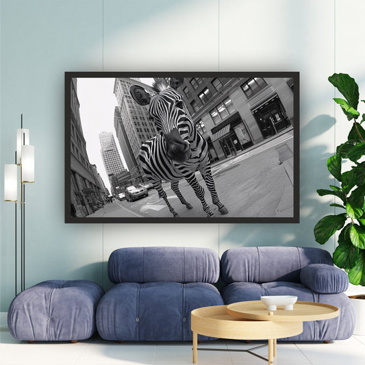 Urban Zebra Black & White Wall Art | Wildlife Photography