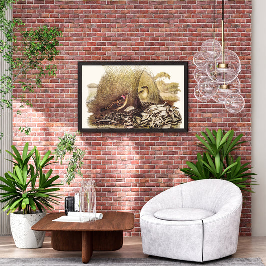 Vintage Bird Wall Art | Antique Nature Illustration