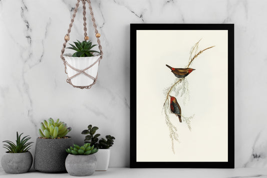 Whispers of Stillness – Twin Birds Wall Frame 🕊️🌿