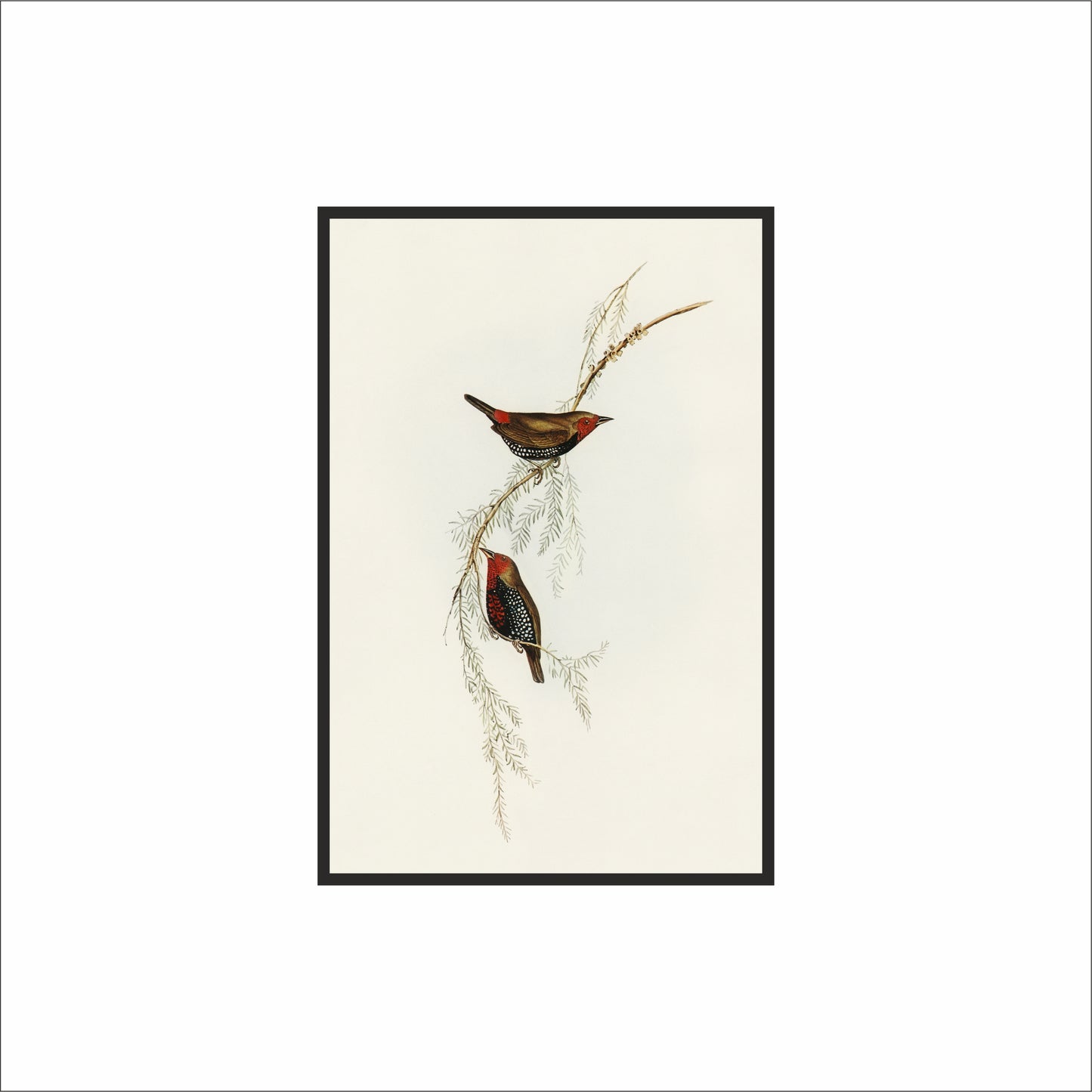 Whispers of Stillness – Twin Birds Wall Frame 🕊️🌿