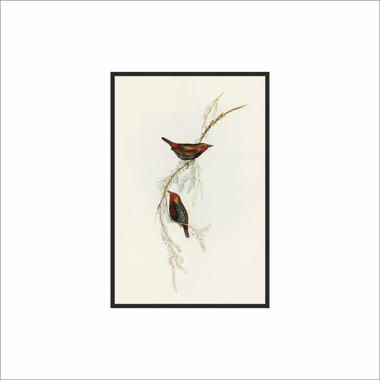 Whispers of Stillness – Twin Birds Wall Frame 🕊️🌿