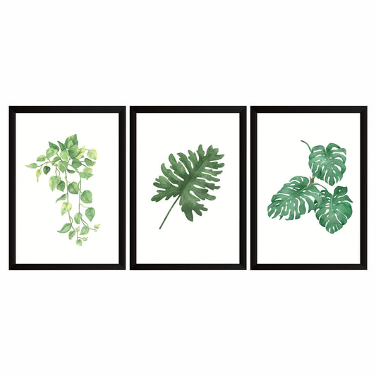 Watercolor Tropical Botanical Wall Art Set of 3 – Green Monstera & Hanging Leaf Prints