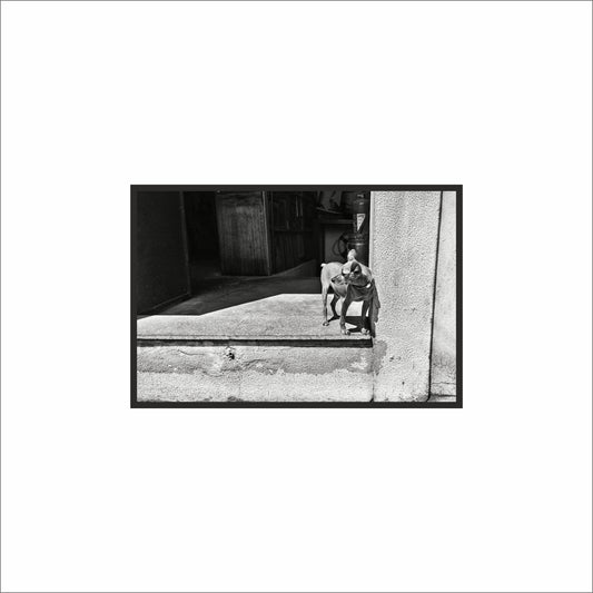 “Doorstep Duo – Quiet Street Moment” 🖤🐾