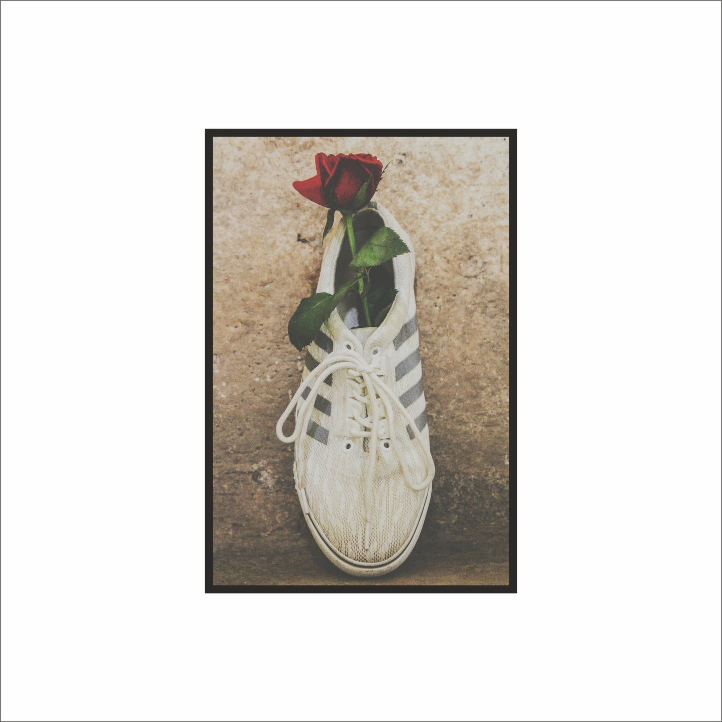 “Sole & Rose – Minimal Romantic Art Frame” 🌹👟✨