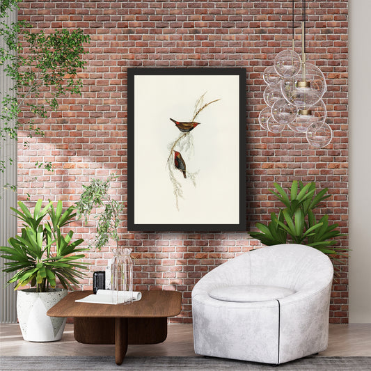 Vintage Botanical Bird Wall Art | Antique Bird Illustration & Nature Print